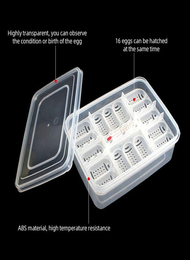 Still Awake Reptile Egg Incubator Professional Hatcher Hatching Box Case Tray Plastic Breeding Incubator for Hatching Snake,Lizards, Reptiles,Gecko(16 Slots Without Thermometer) - Image 3